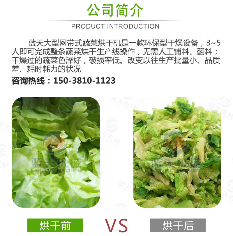 蔬菜网带烘干机产品介绍