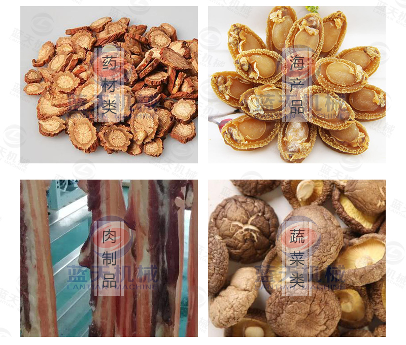 大蒜片网带烘干机应用范围