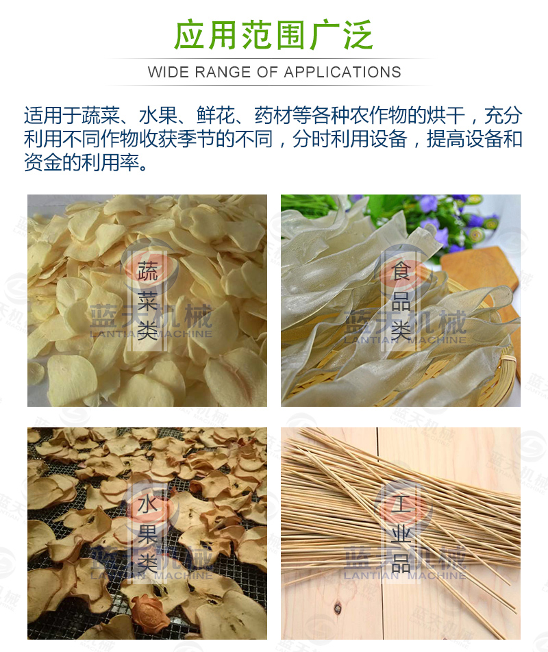 大蒜片网带烘干机应用范围