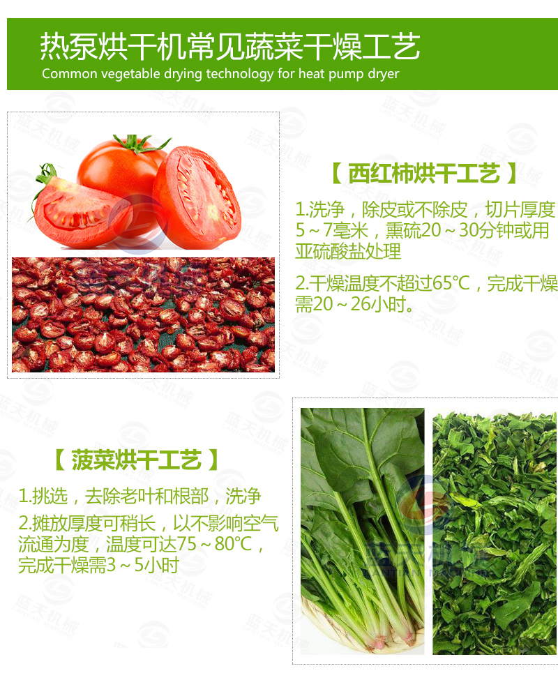 大蒜片网带烘干机常见蔬菜烘干工艺