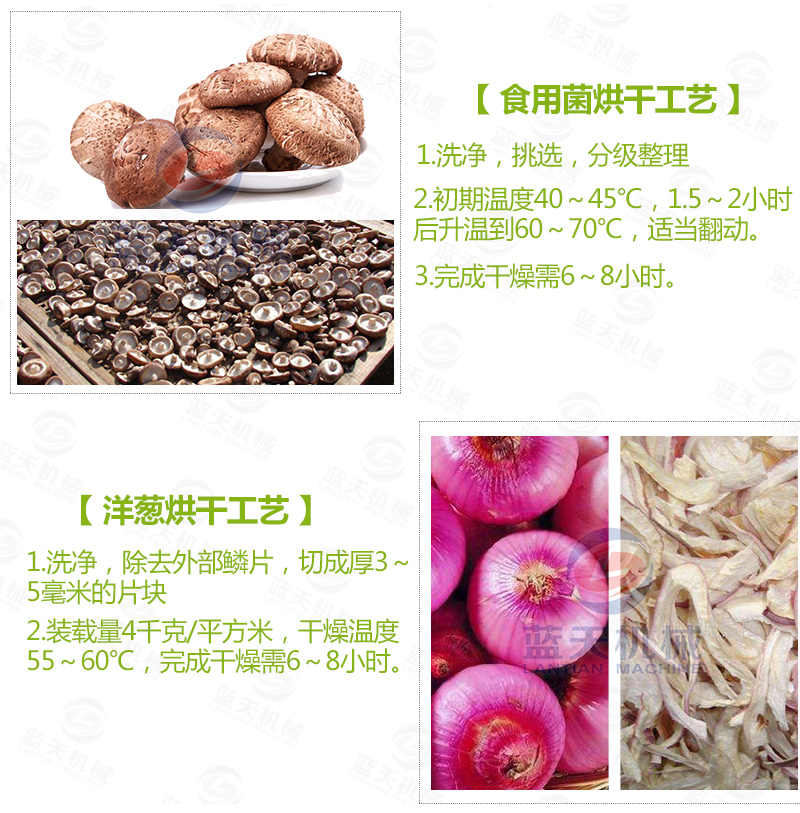 大蒜片网带烘干机常见蔬菜烘干工艺