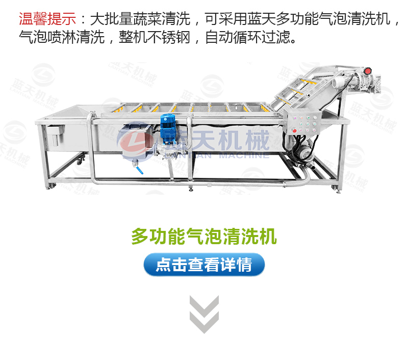 大蒜片网带烘干机相关产品