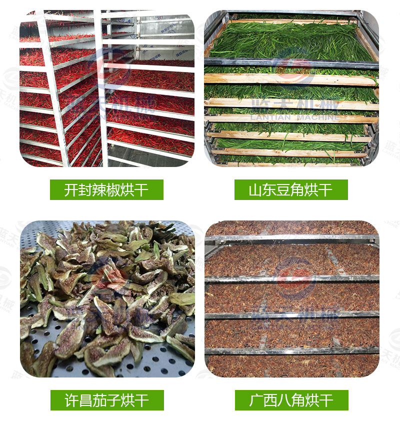大蒜片网带烘干机厂家实拍