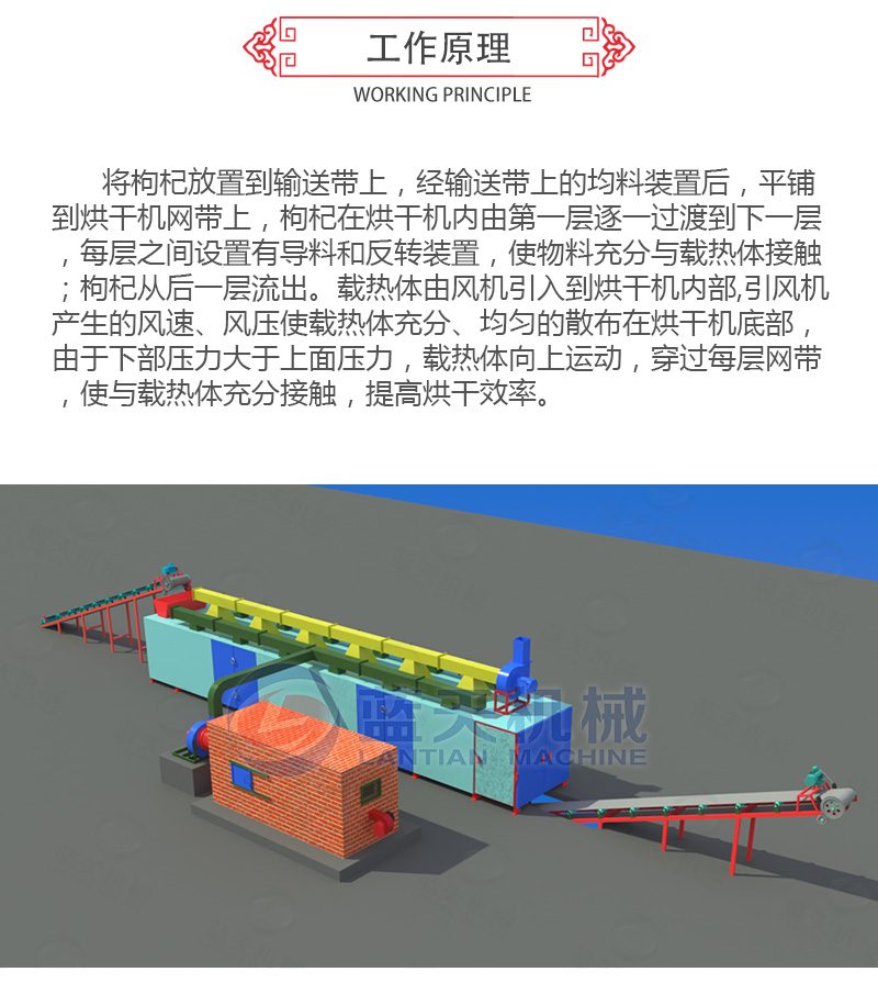 枸杞网带式烘干机工作原理