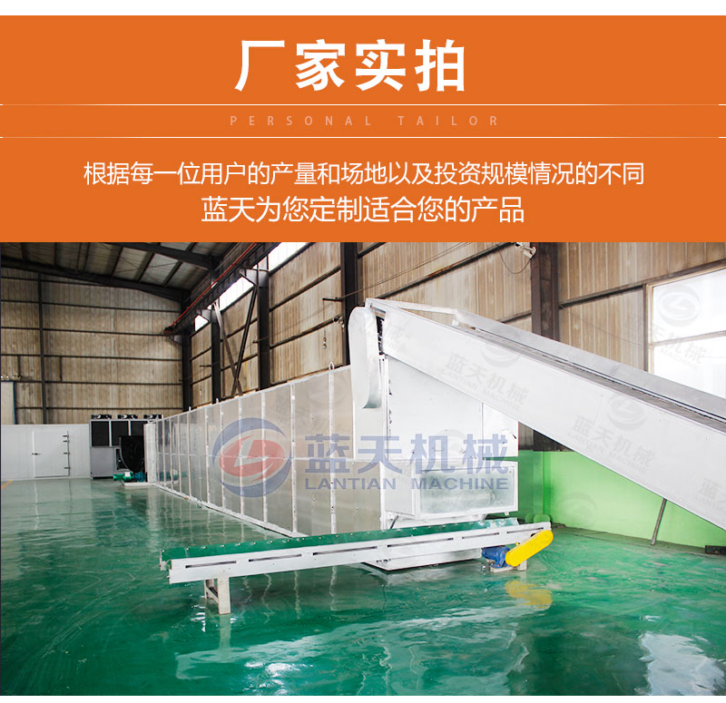 地瓜干网带式烘干机厂家实拍