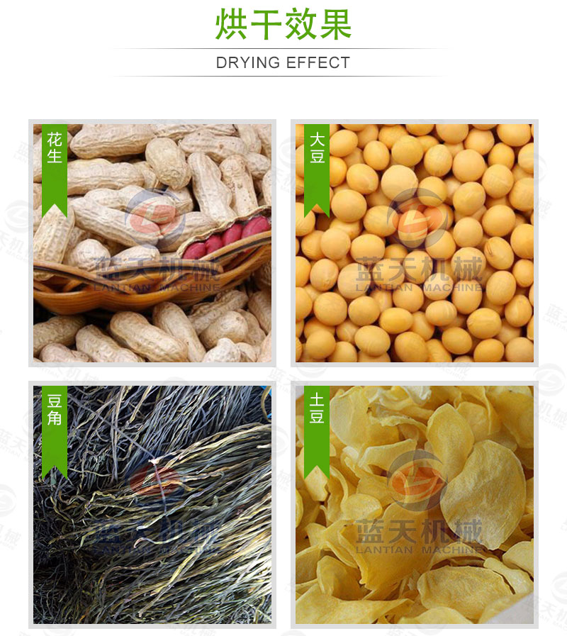花生网带式烘干机烘干效果