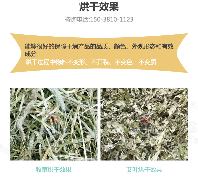 牧草网带式烘干机烘干效果