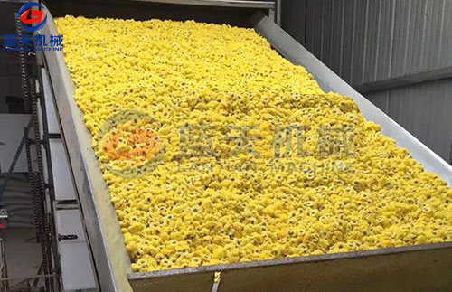 菊花网带式烘干机客户现场